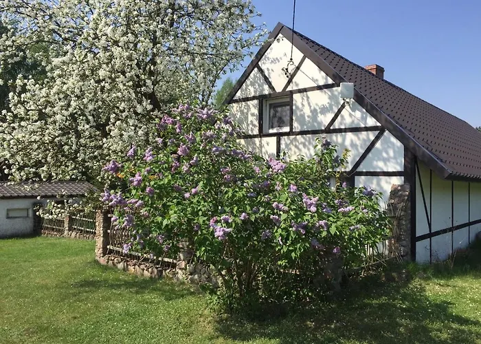 Samodzielny Dom Przy Lesie