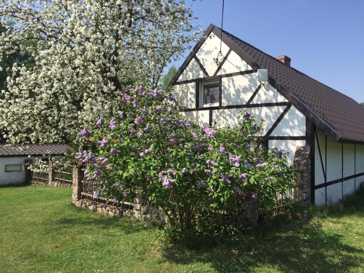 Samodzielny Dom Przy Lesie Lodge *