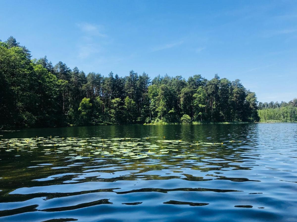 Lodge Samodzielny Dom Przy Lesie *