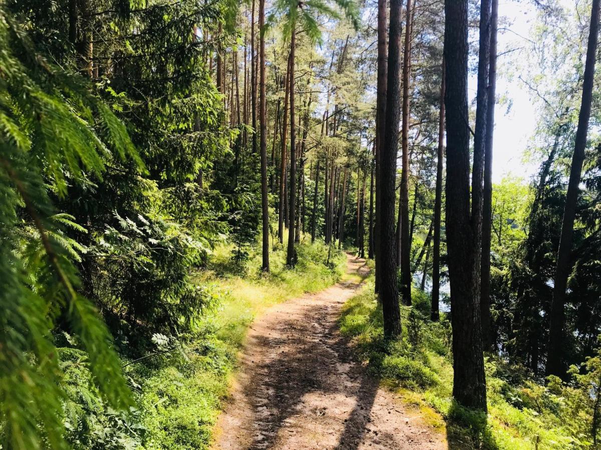 Samodzielny Dom Przy Lesie Lodge Tereszewo